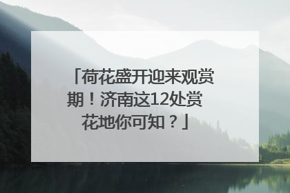 荷花盛开迎来观赏期！济南这12处赏花地你可知？